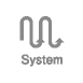 System
